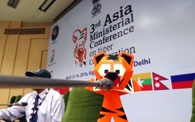 DotAsia’s Ajitora Spreads #doubletigers Movement Globally Online