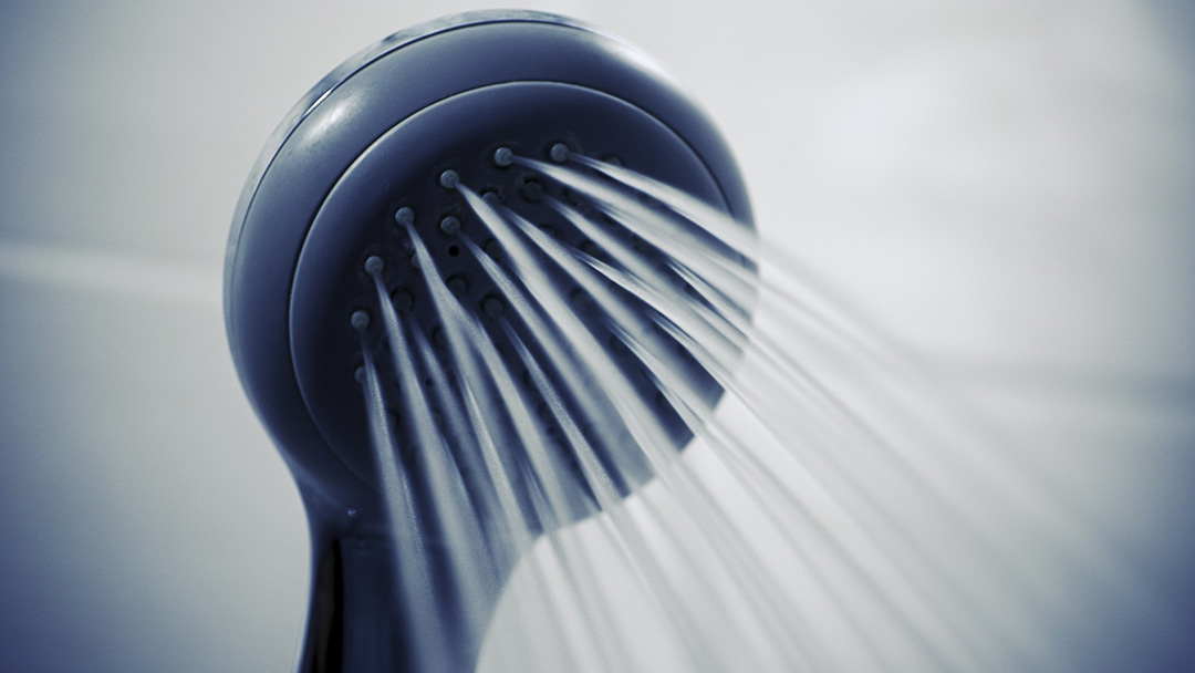 Shower head