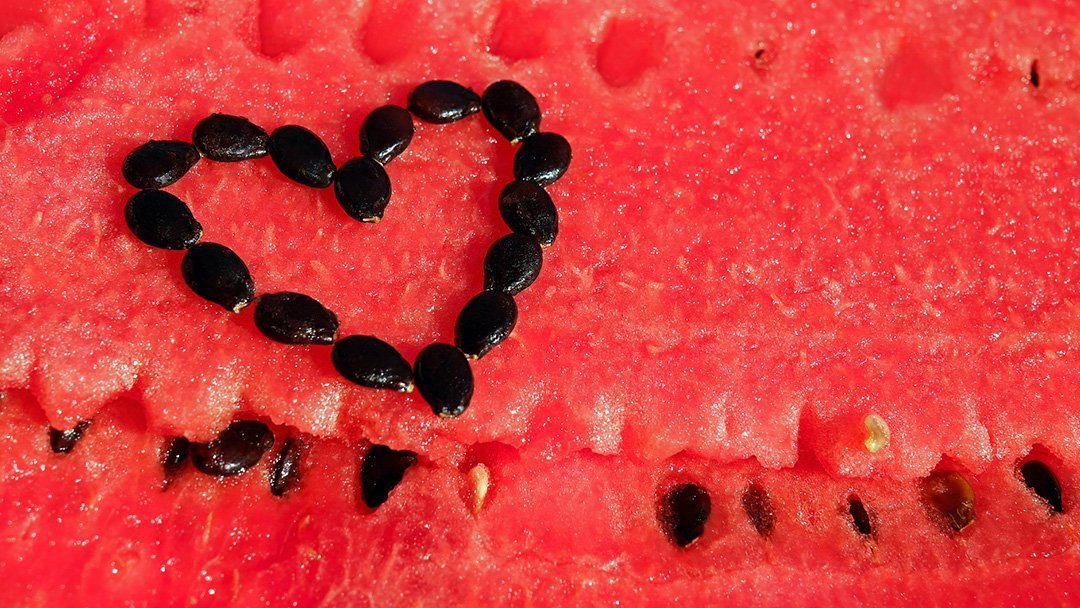 Watermelon seeds